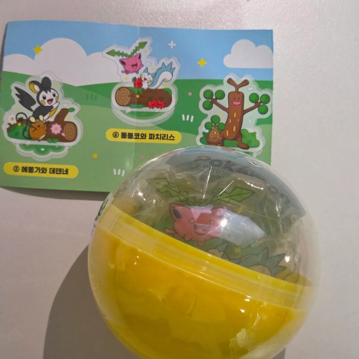 포켓못 펜홀더 아크릴 가챠 통통코와 파치리스