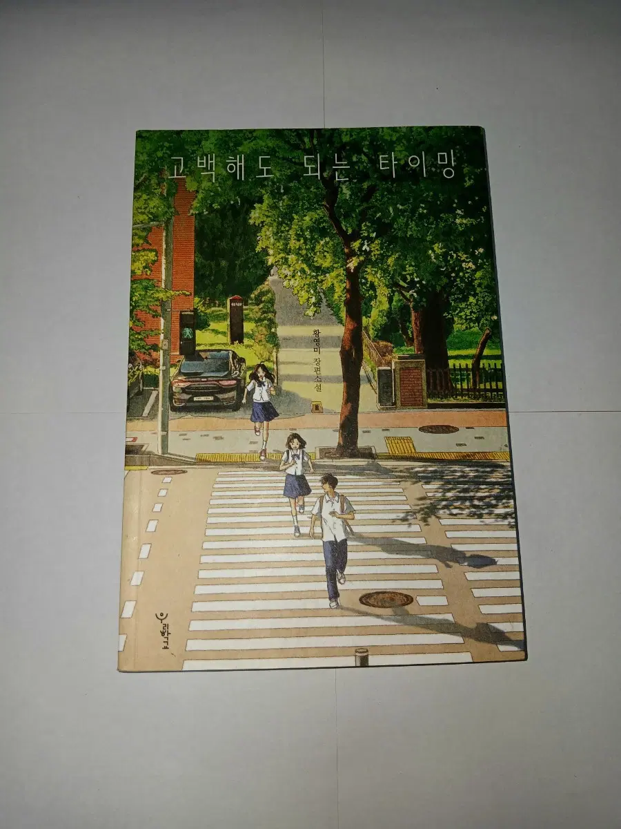 고백해도 되는 타이밍 책 판매합니다
