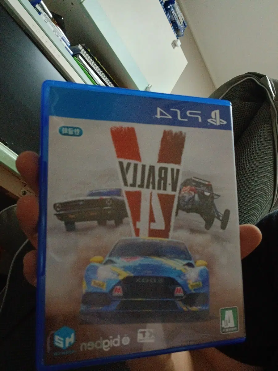 VRALLY 4 PS4 게임