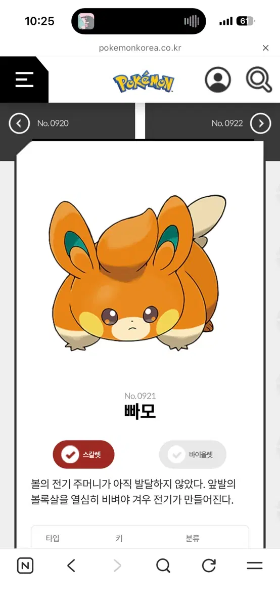 포켓몬 일반카드/서치팩 매입해요