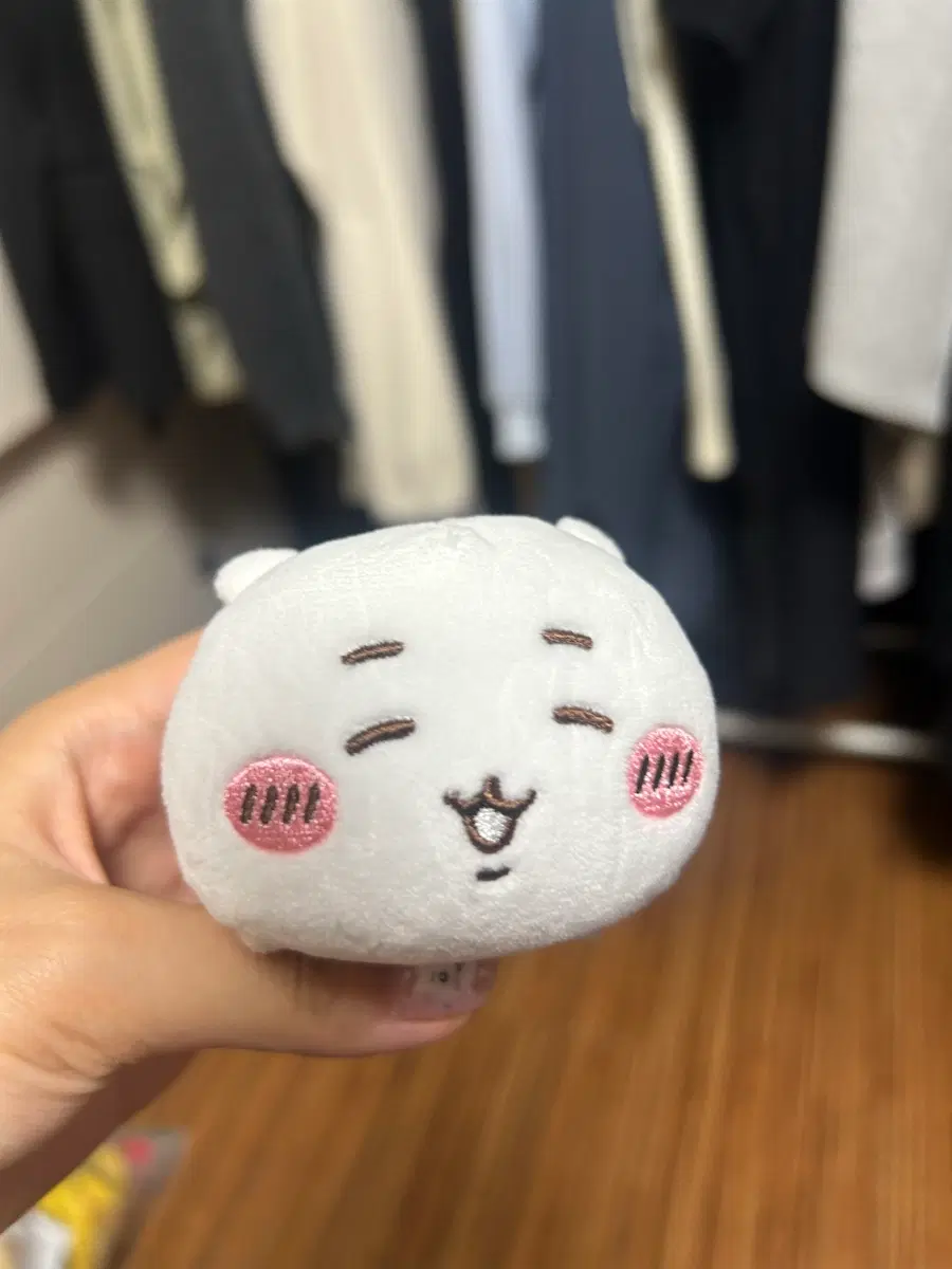 치이카와 누이