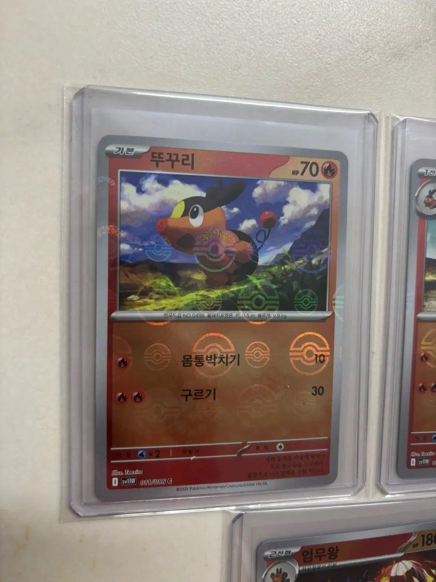 포켓몬카드 뚜꾸리, 차오꿀, 염무왕 몬스터볼 일괄