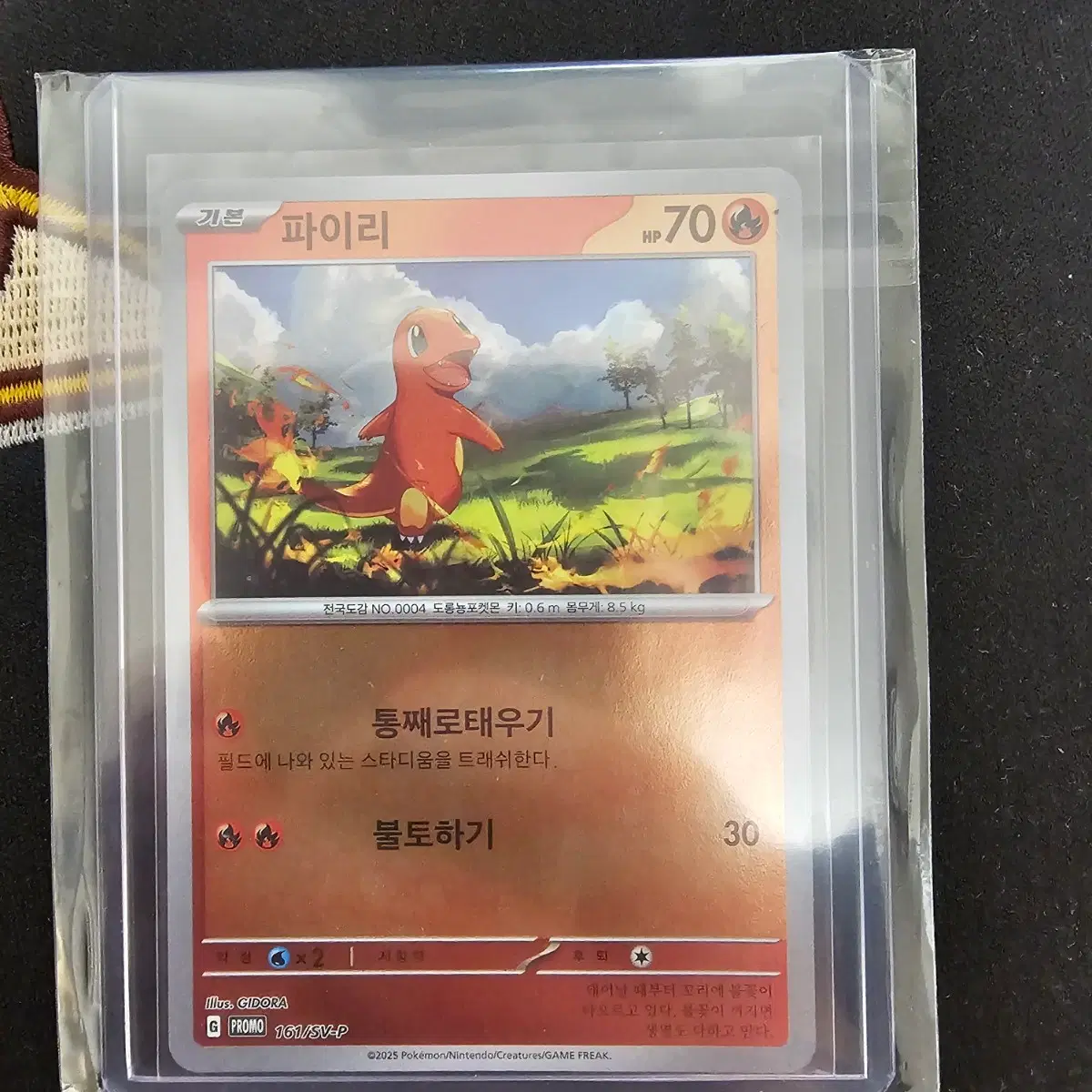 포켓몬 파이리 프로모