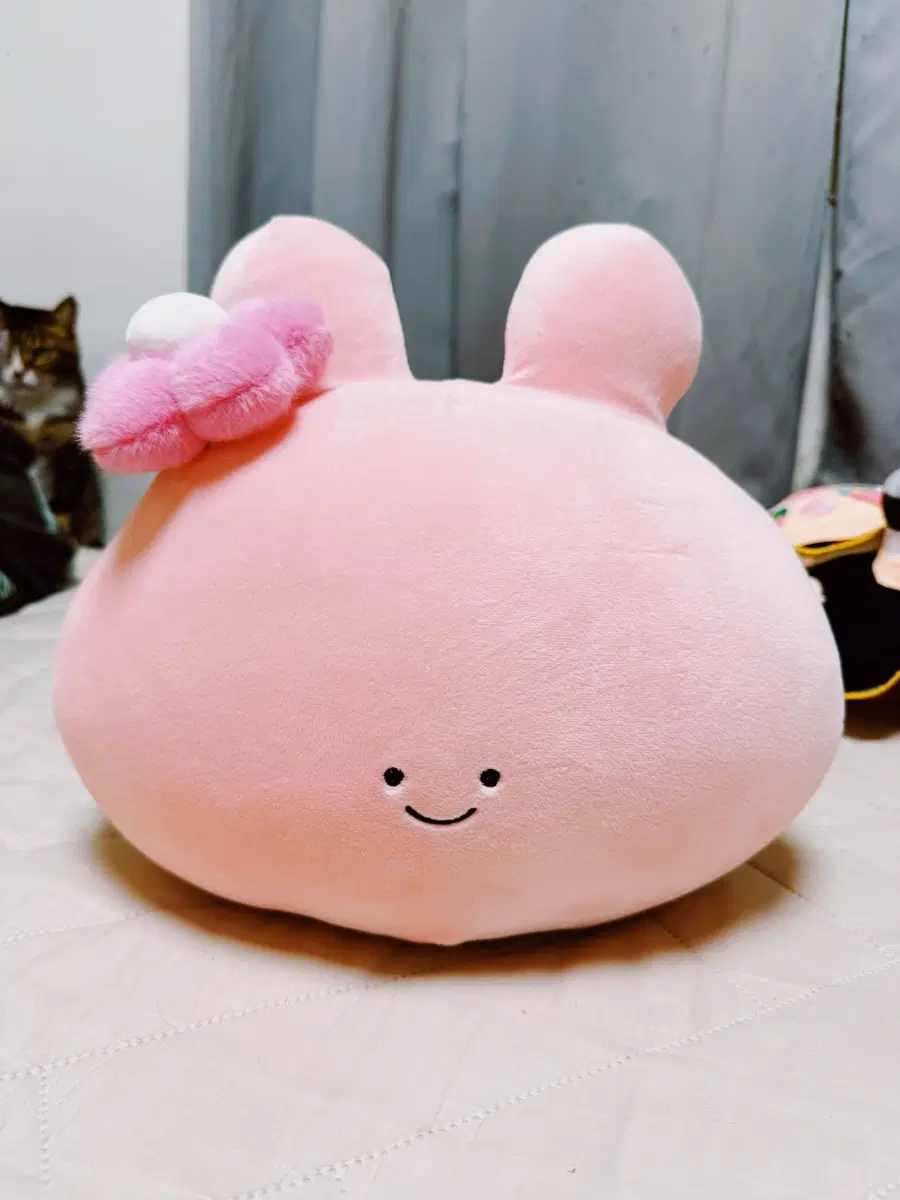 짱프렌즈 정품 아사미미짱 인형