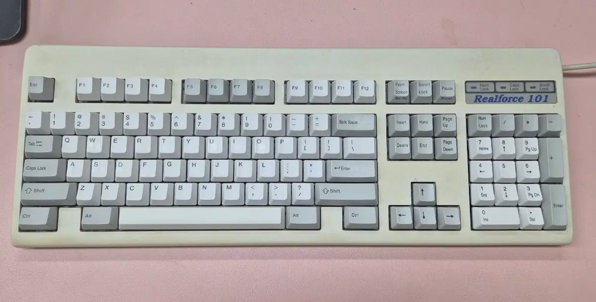리얼포스 101u 윈키리스 토프레 키보드