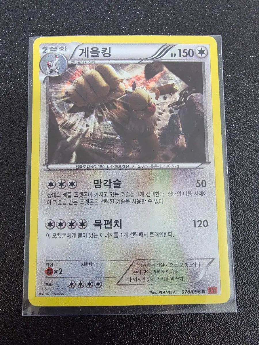 게을킹 XY3 078/096 R 2014년 old 홀로카드