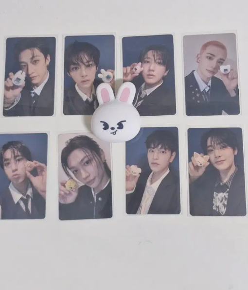(포카포함) 스트레이키즈 리노 리빗 다마고치