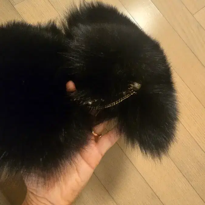 모조에스핀 폭스 퍼