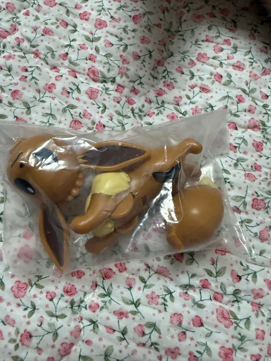 포켓몬 풀백 마스코트 가챠 ) 이브이