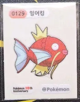 포켓몬 잉어킹 띠부씰 30주년 기념