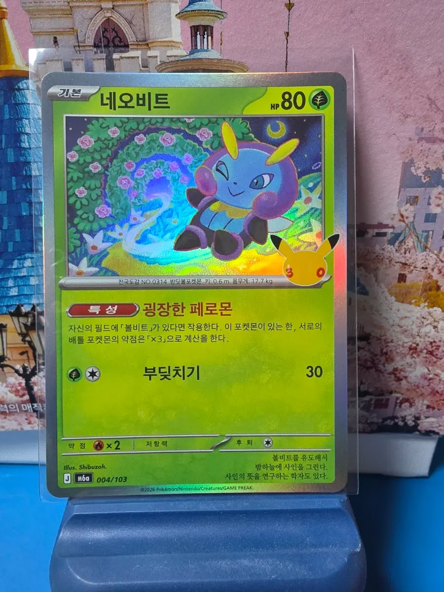 포켓몬카드 30주년 네오비트