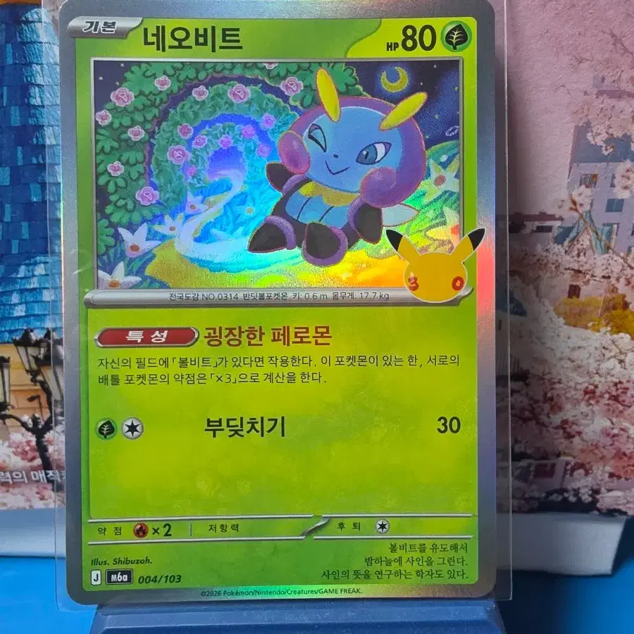 포켓몬카드 30주년 네오비트
