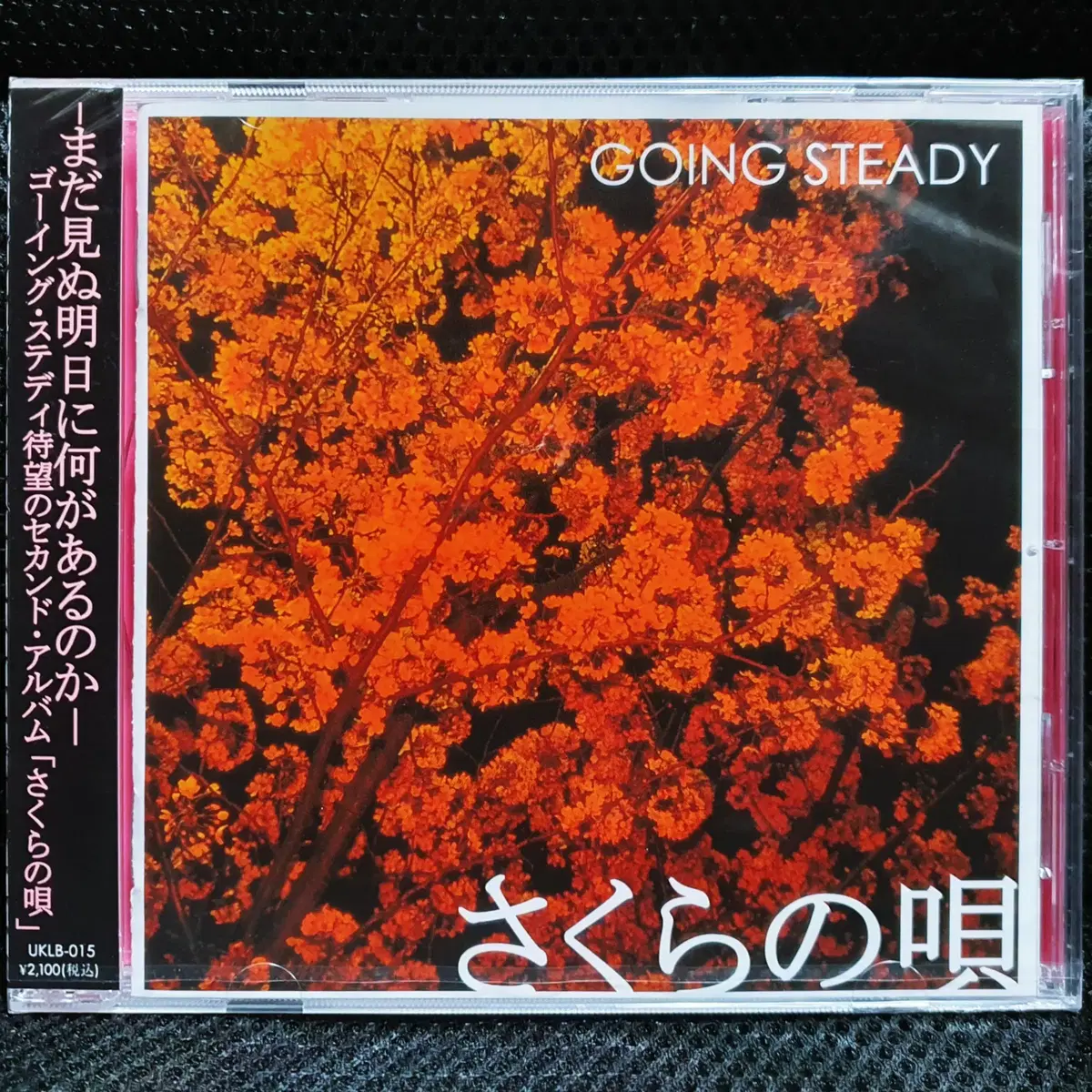 GOING STEADY 사쿠라노우타 CD 미개봉 신품