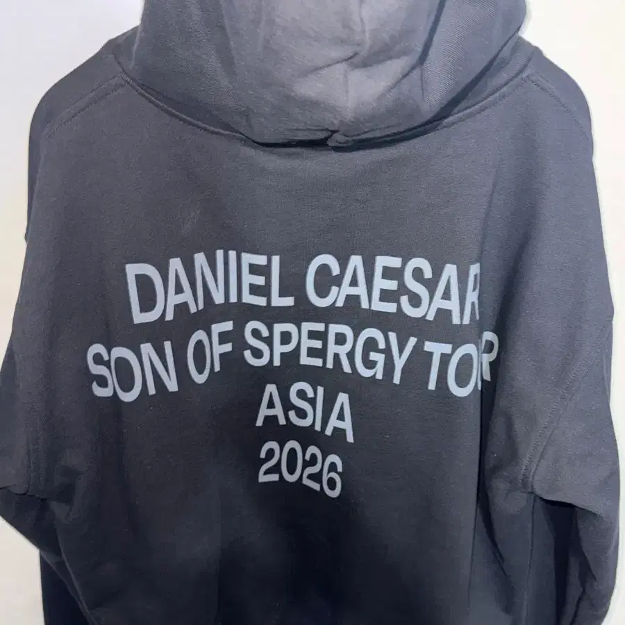 다니엘 시저 SOS 후드집업 daniel caesar 다니엘시저