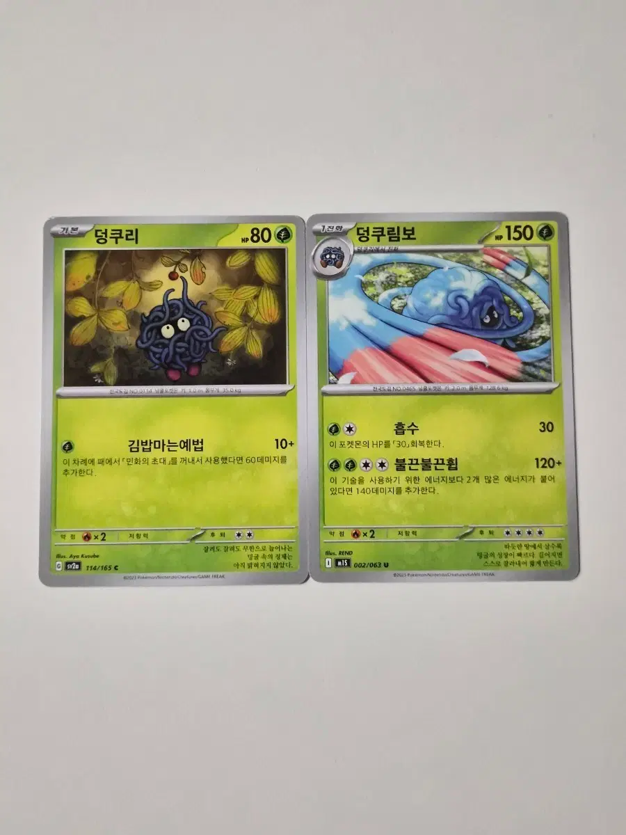 포켓몬카드 덩쿠리 & 덩쿠림보