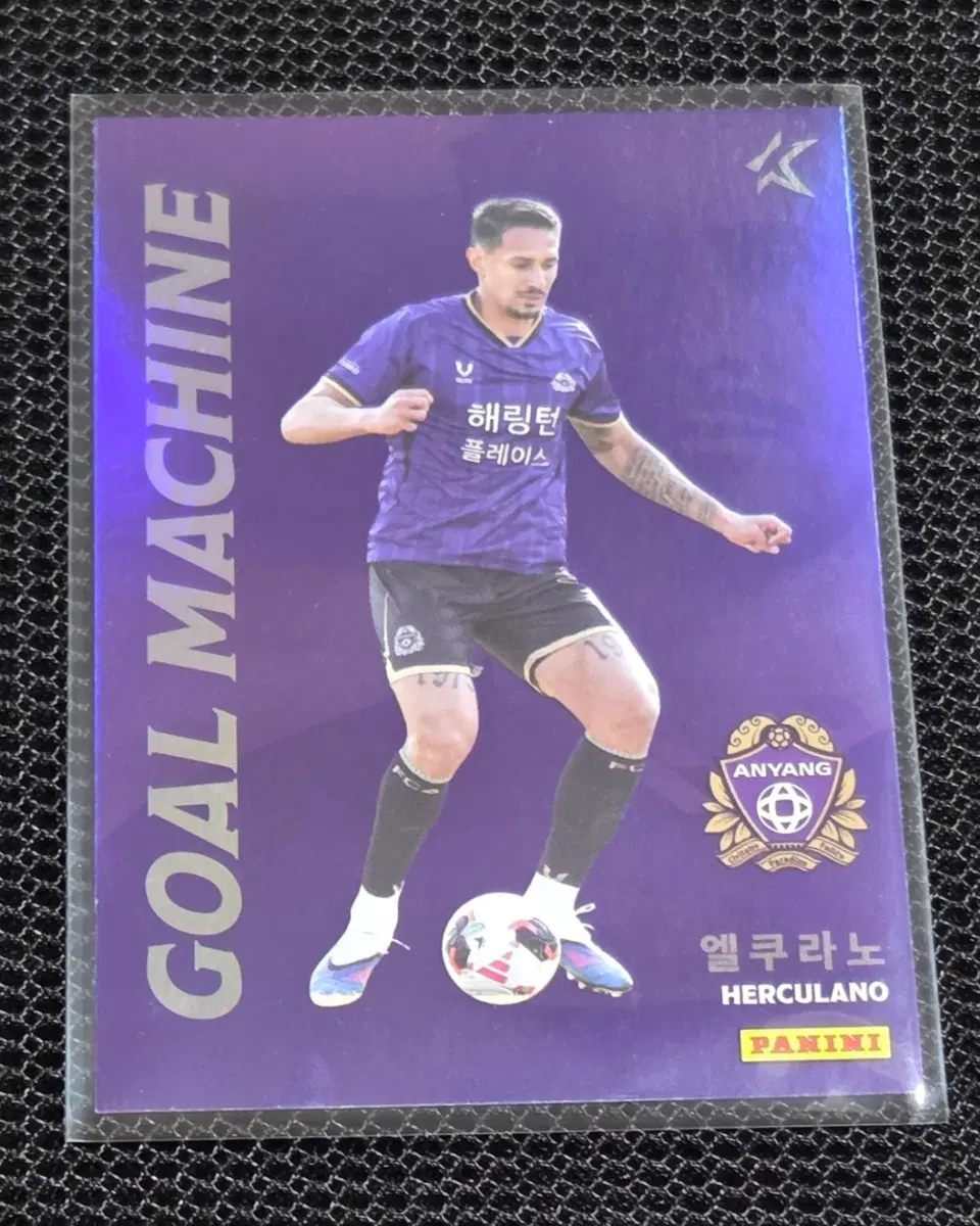 파니니 k리그 안양 엘쿠라노 축구 선수 카드