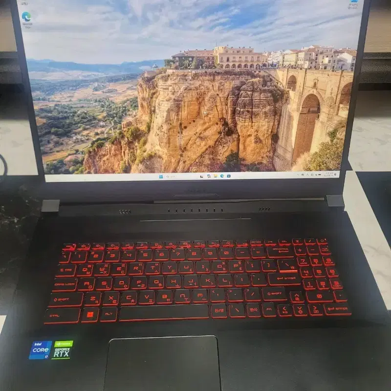 17.3인치 i7 11세대 RTX 3050 MSi 게이밍 노트북 팝니다.