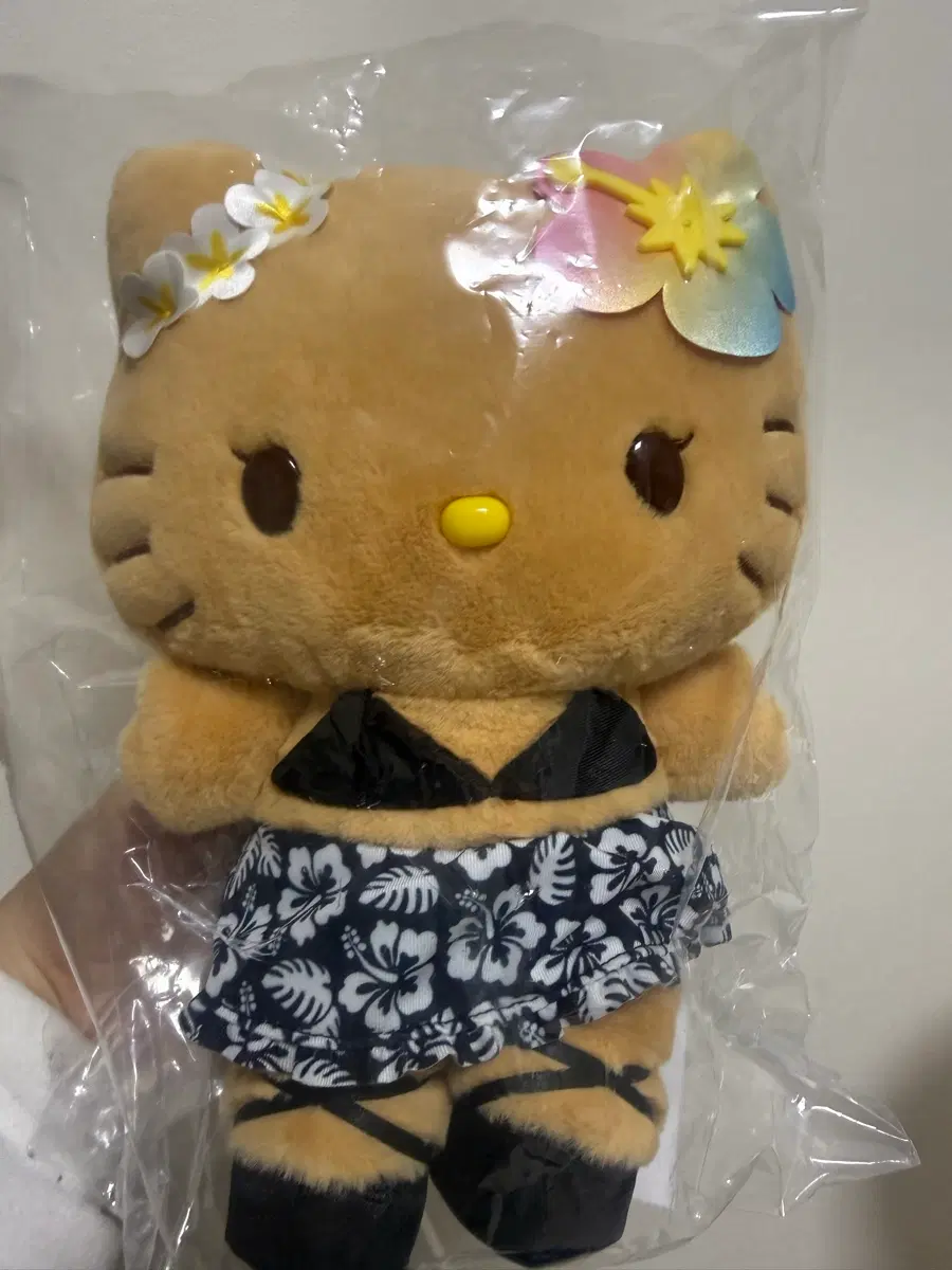 테닝 헬로키티 누이