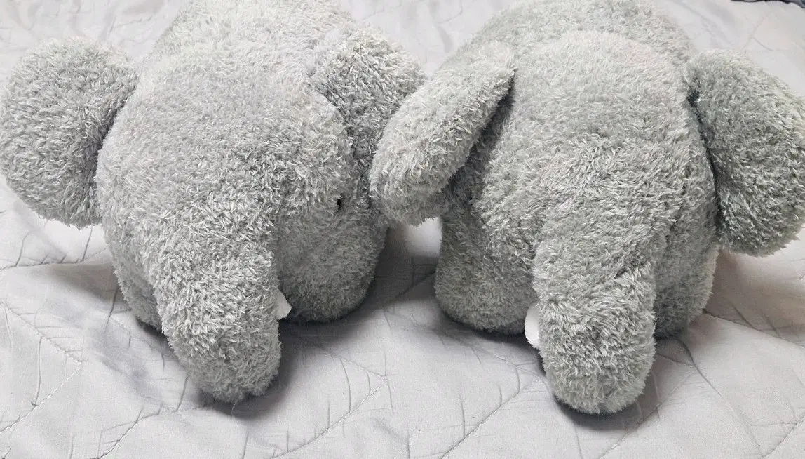 코끼리 중형 인형 2개 일괄
