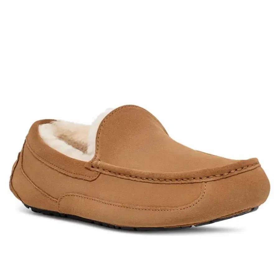 [완전 새상품]UGG 어그 스웨이드 양모 라이너 로퍼 (아스콧) / 250 7사이즈 +)타판매사이트 가격 추가