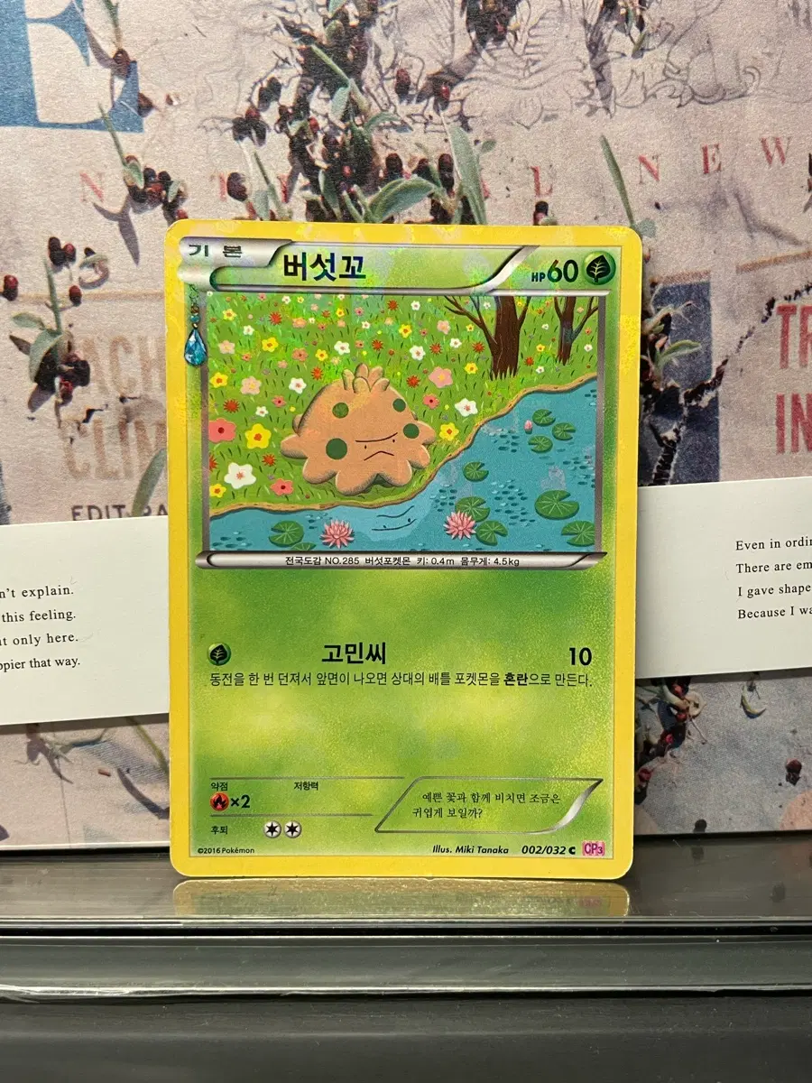 [포켓몬 카드] 심쿵 컬렉션 버섯꼬