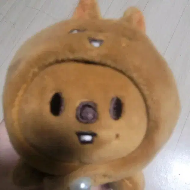 한쿼카 인형