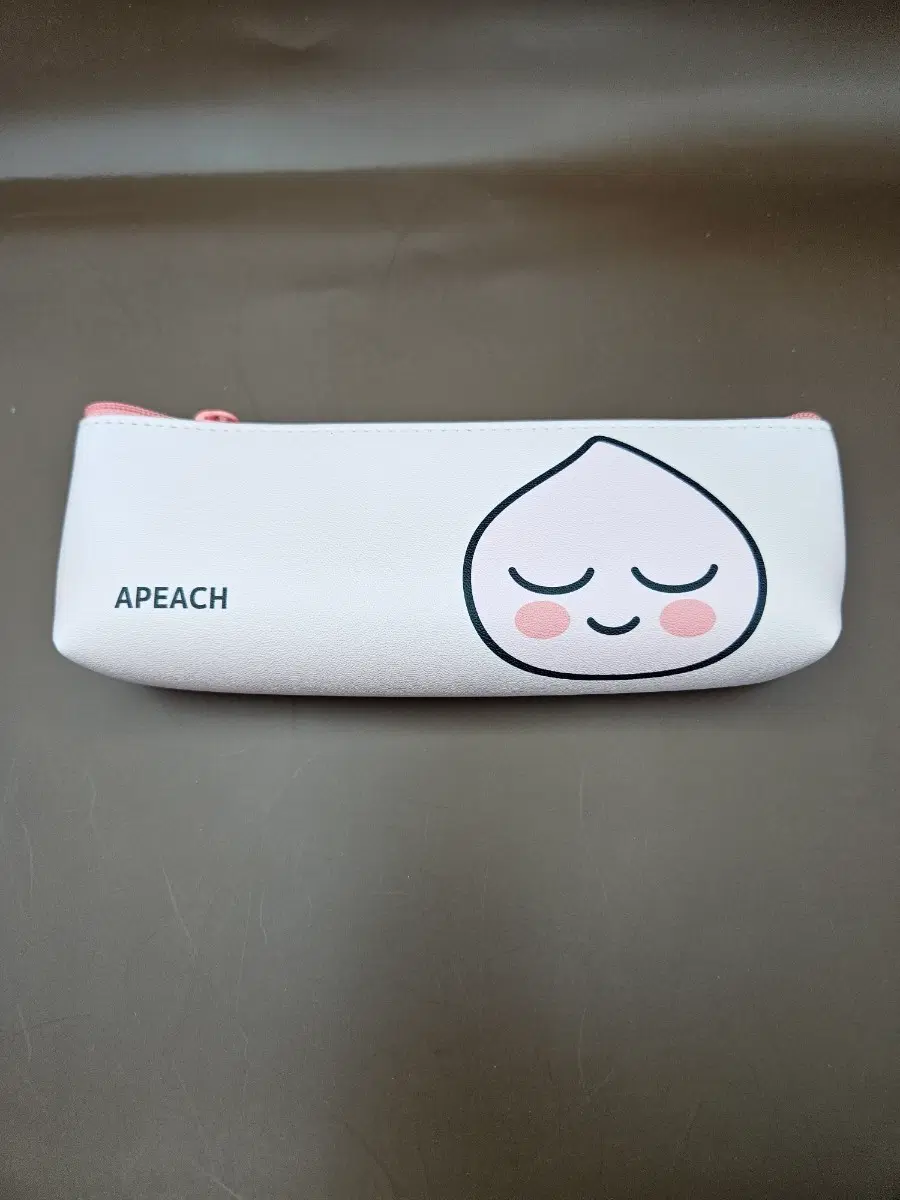 카카오프렌즈 어피치 필통