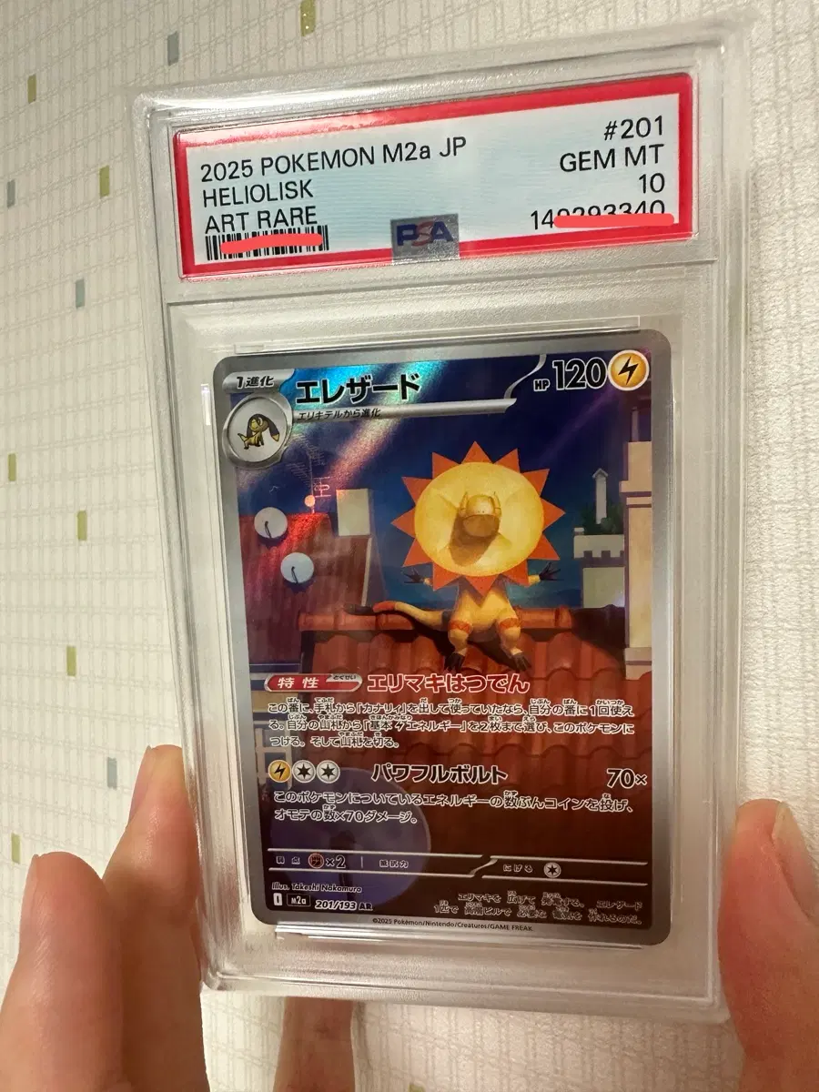 일레도리자드 AR PSA10