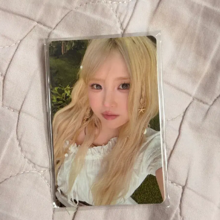 프로미스나인 콘서트 중콘 입장 포카 판매 프나