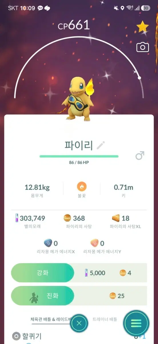 고글파이리(이로치)