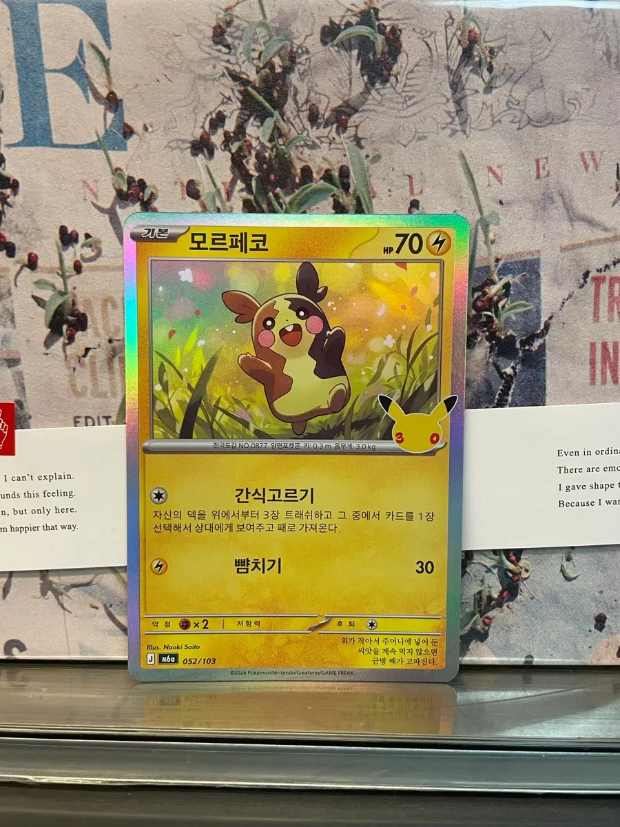 [포켓몬 카드] 30주년 모르페코