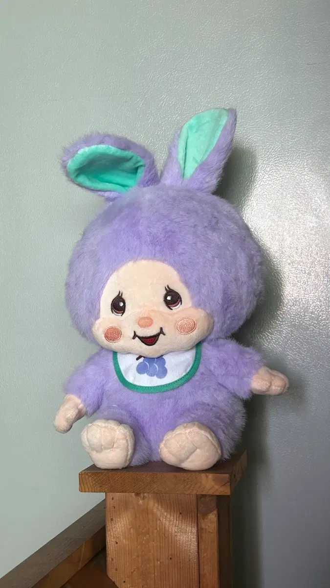 포도토끼 몬치치(택o)