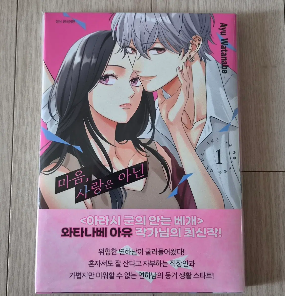 마음 사랑은 아닌 1권