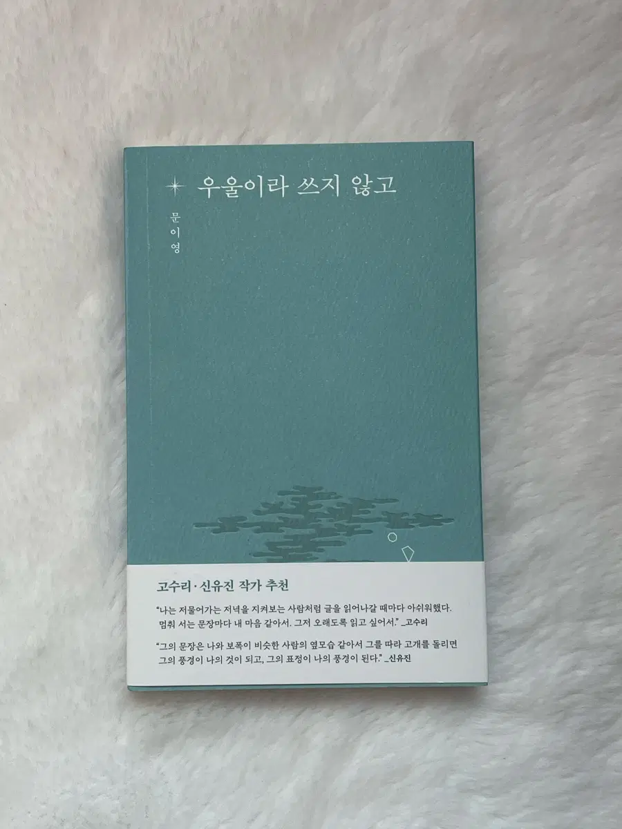 우울이라 쓰지 않고 - 문이영 책