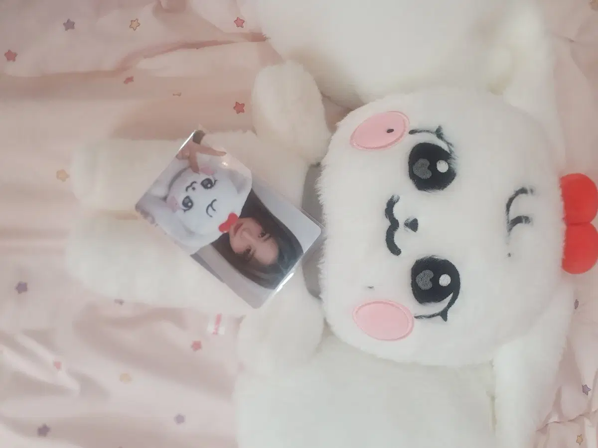 아이브 스쿨 팝업 체리