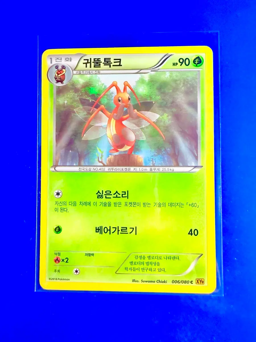포켓몬카드 2016년 고대카드 XY9 귀뚤톡크 카드