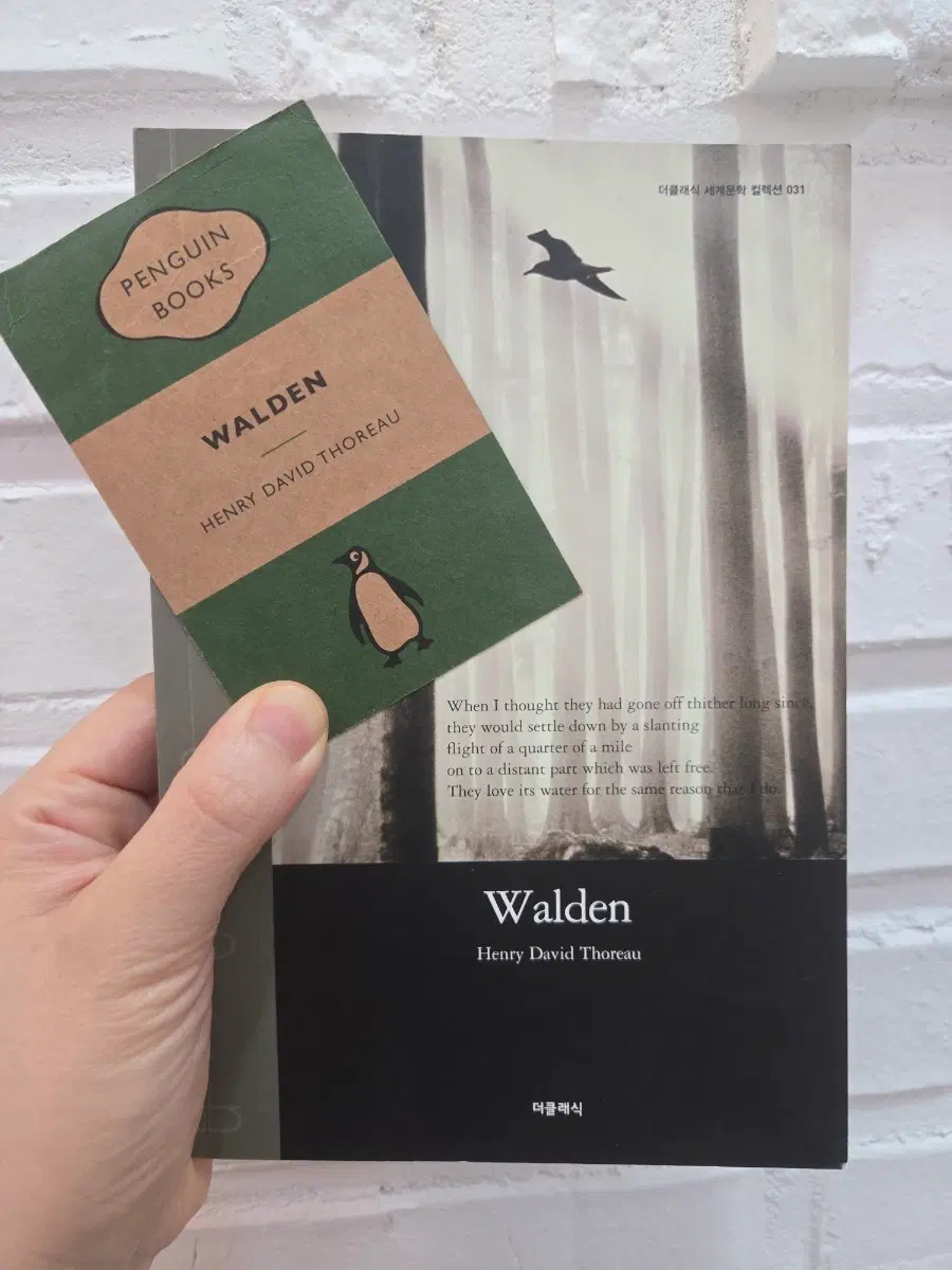 펭귄북스 Walden 월든 미니북 / 더클래식 부록(영문)