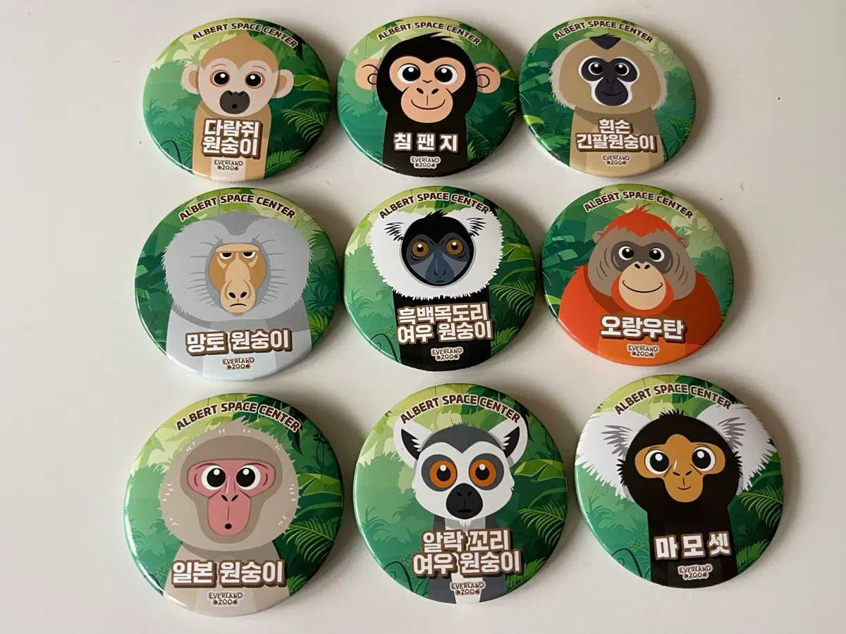 에버랜드 알버트 스페이스 센터 한정판 뱃지 9종 드볼