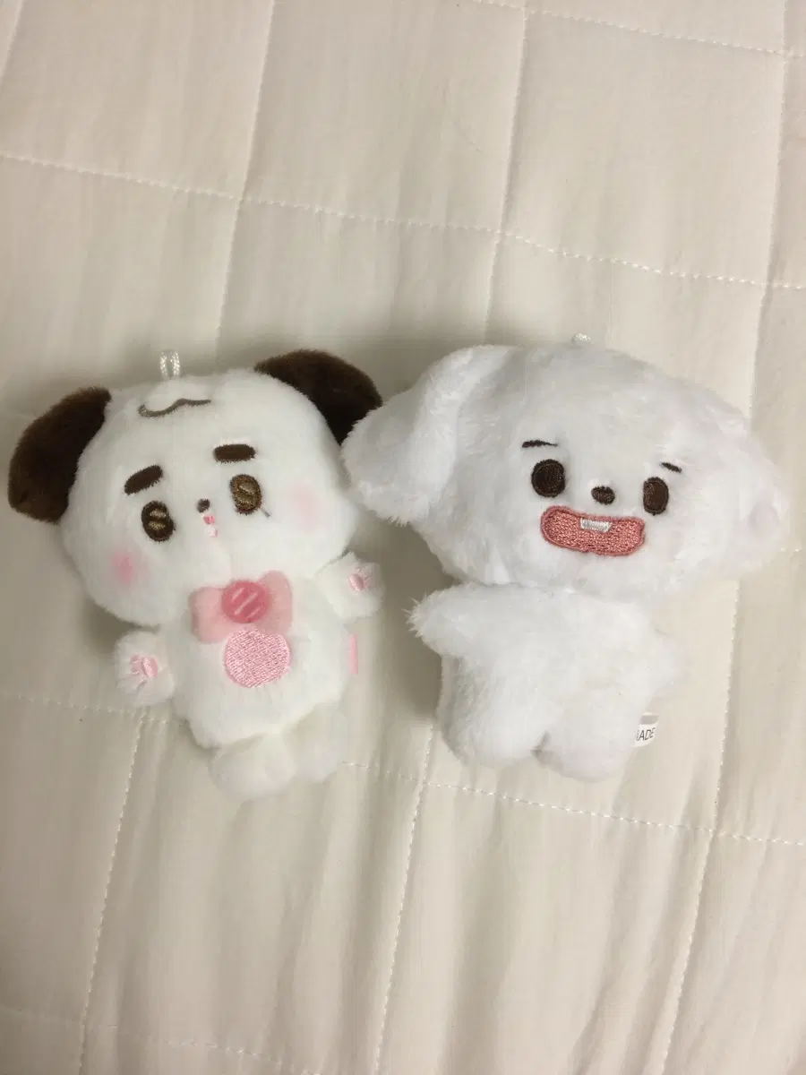 NCT 정우 인형 양도 비지독,복칠이