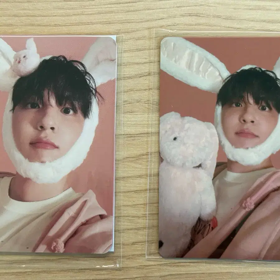 데이식스 원필 토끼포카 양도