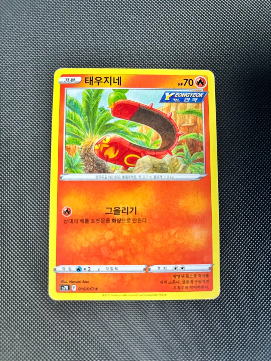 고대 빈티지 포켓몬카드 태우지네 일반카드 도감용 덱소스 s7R 016/067
