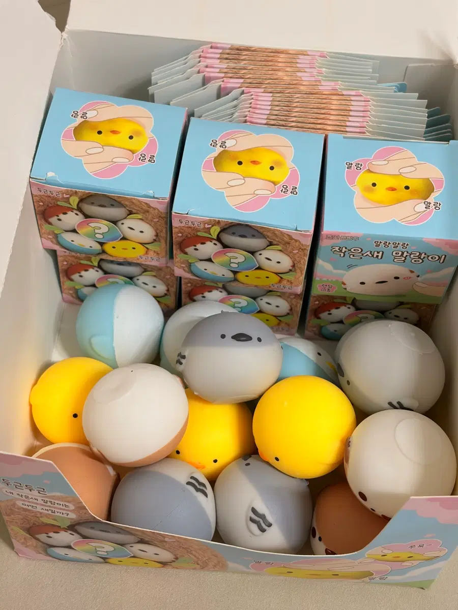 작은새 말랑이