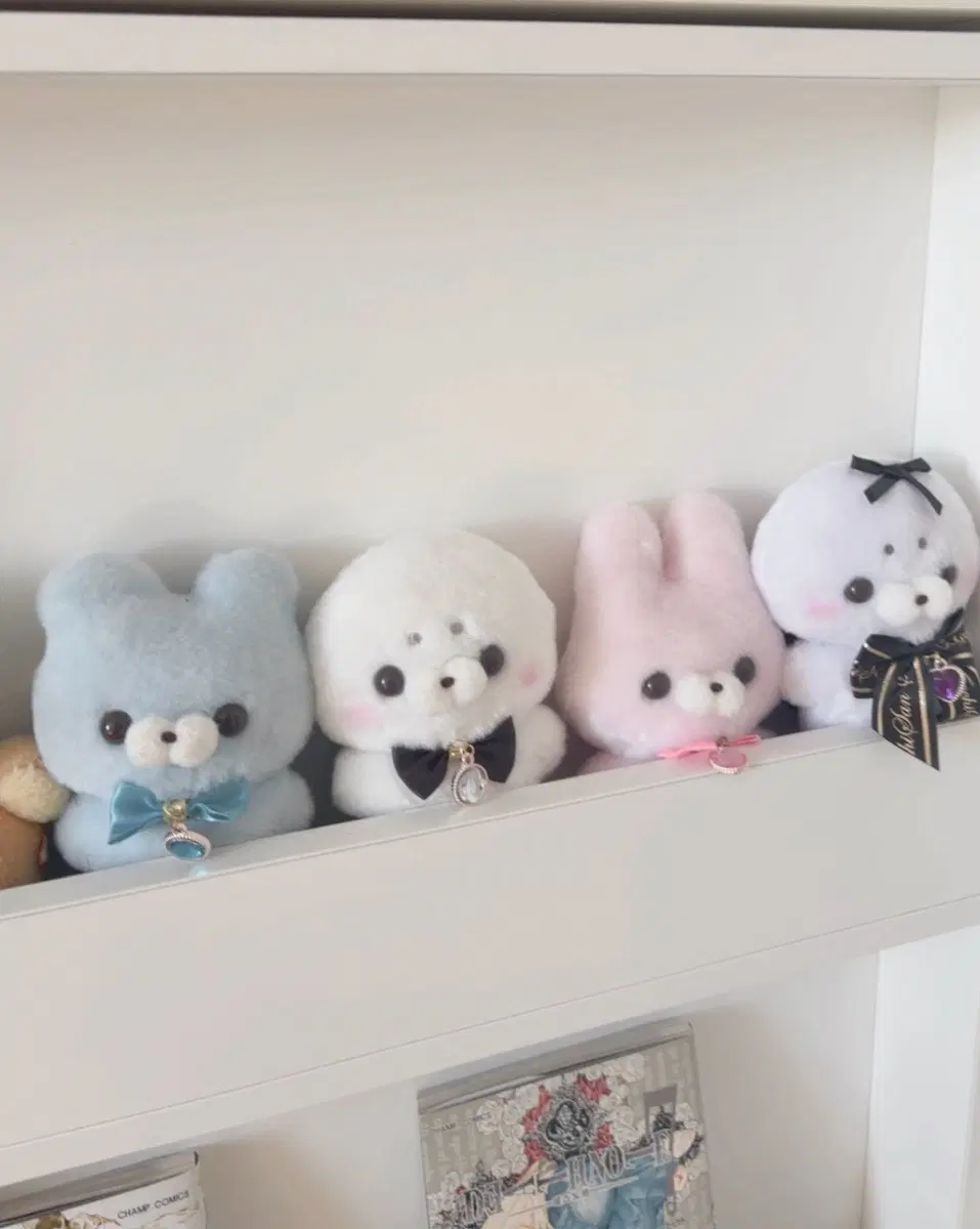 스쿳토탓치상 스쿠토타치 키링 인형 물범 탄생석 레이스 가챠