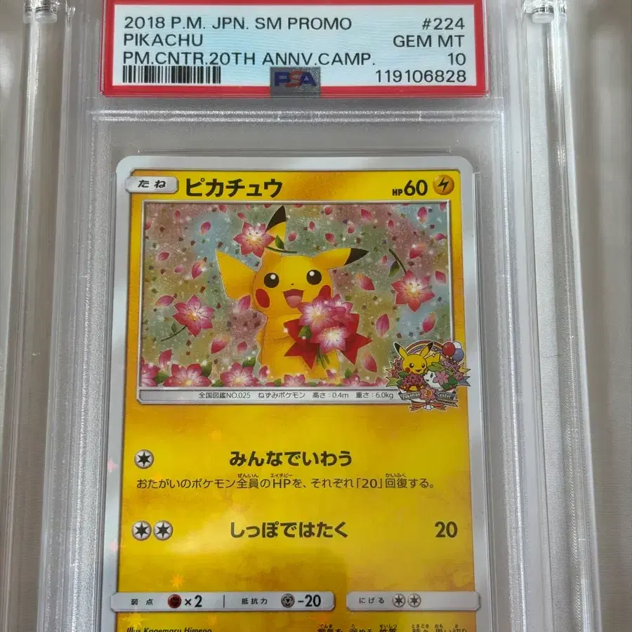 포켓몬카드 벚꽃 피카츄 PSA 10