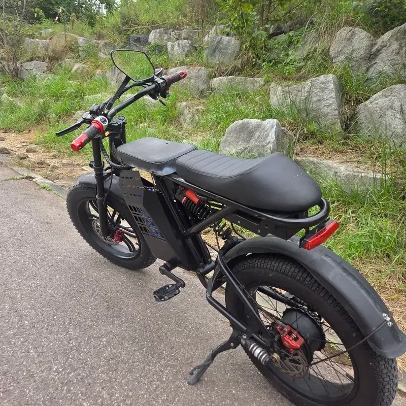 전기자전거 블랙