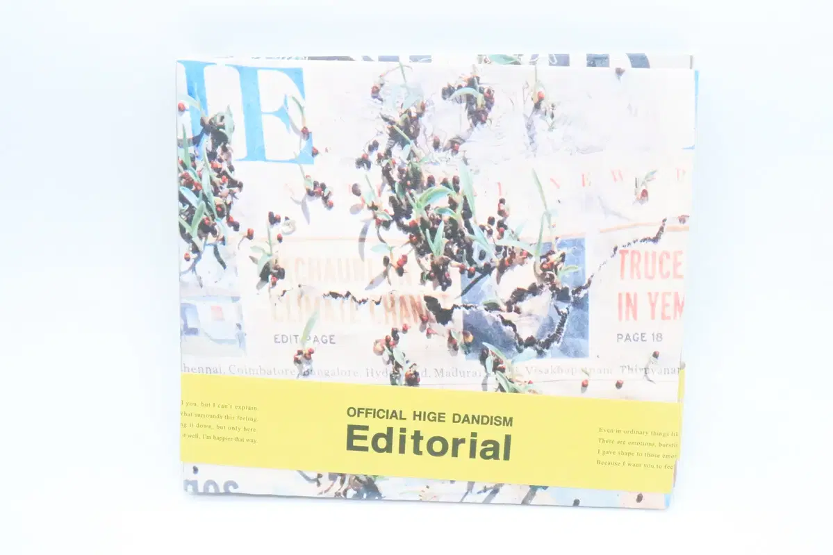 오피셜히게단디즘 히게단 Editorial DVD반