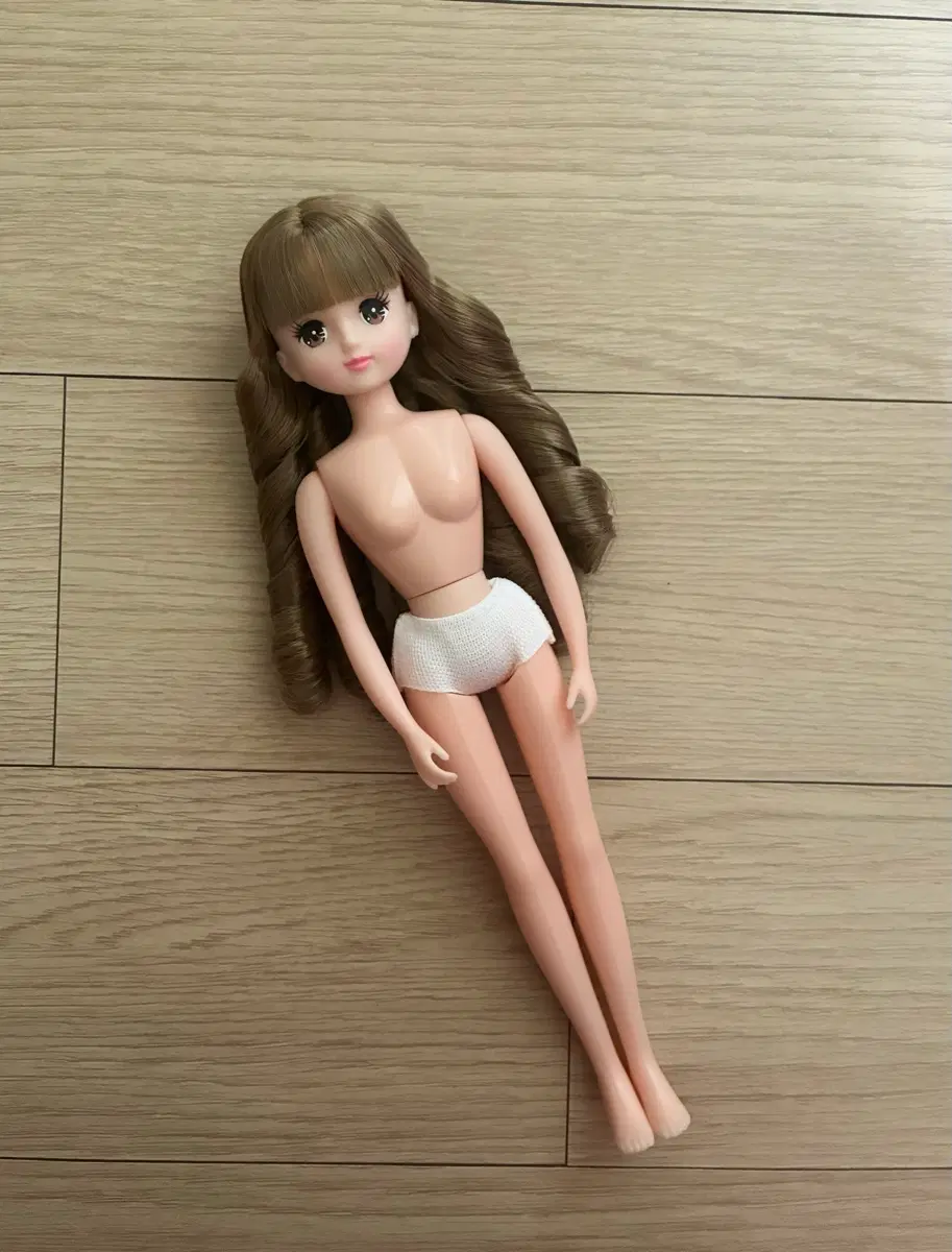 오티노시미돌 아키