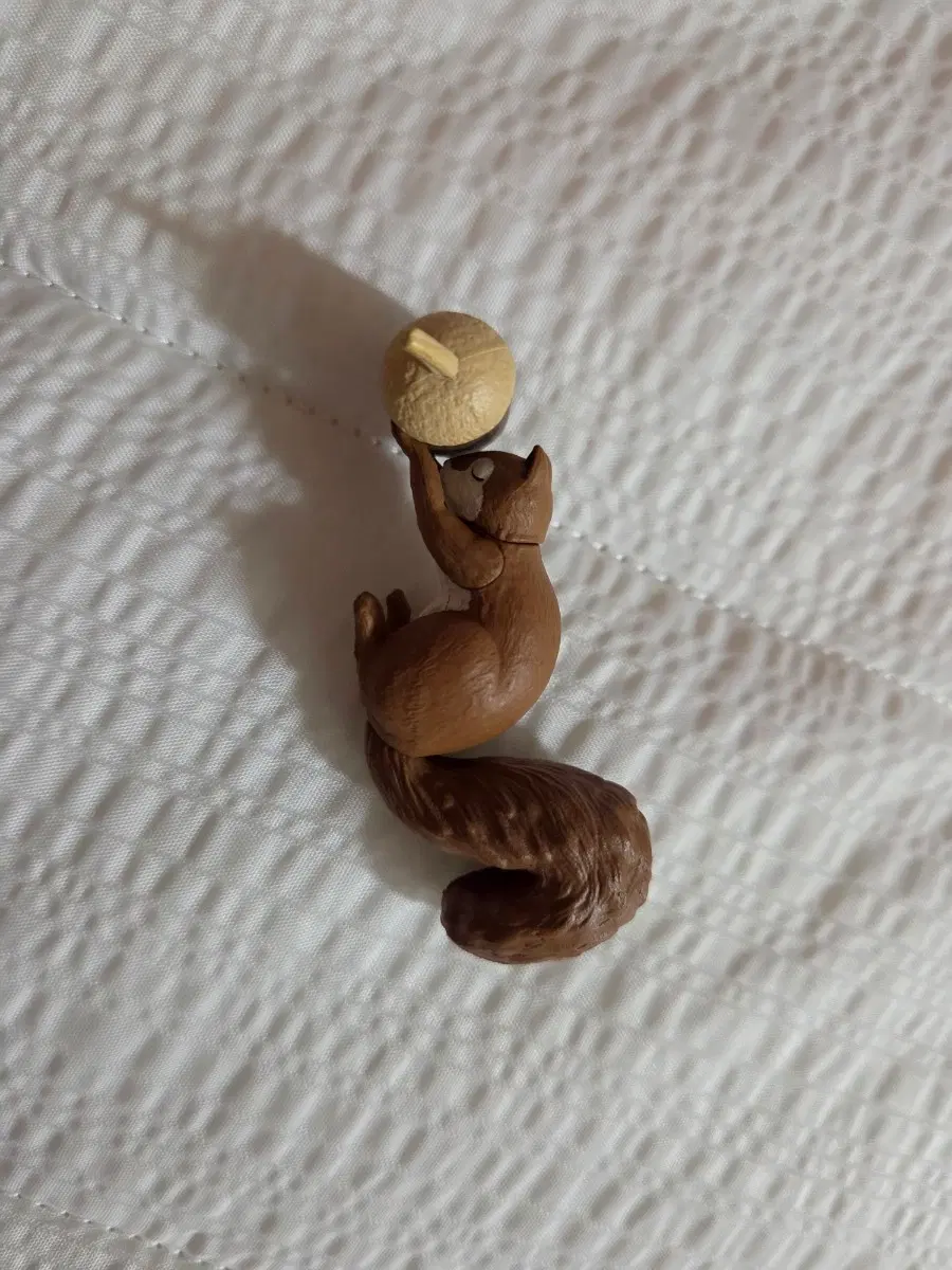 다람쥐 가챠