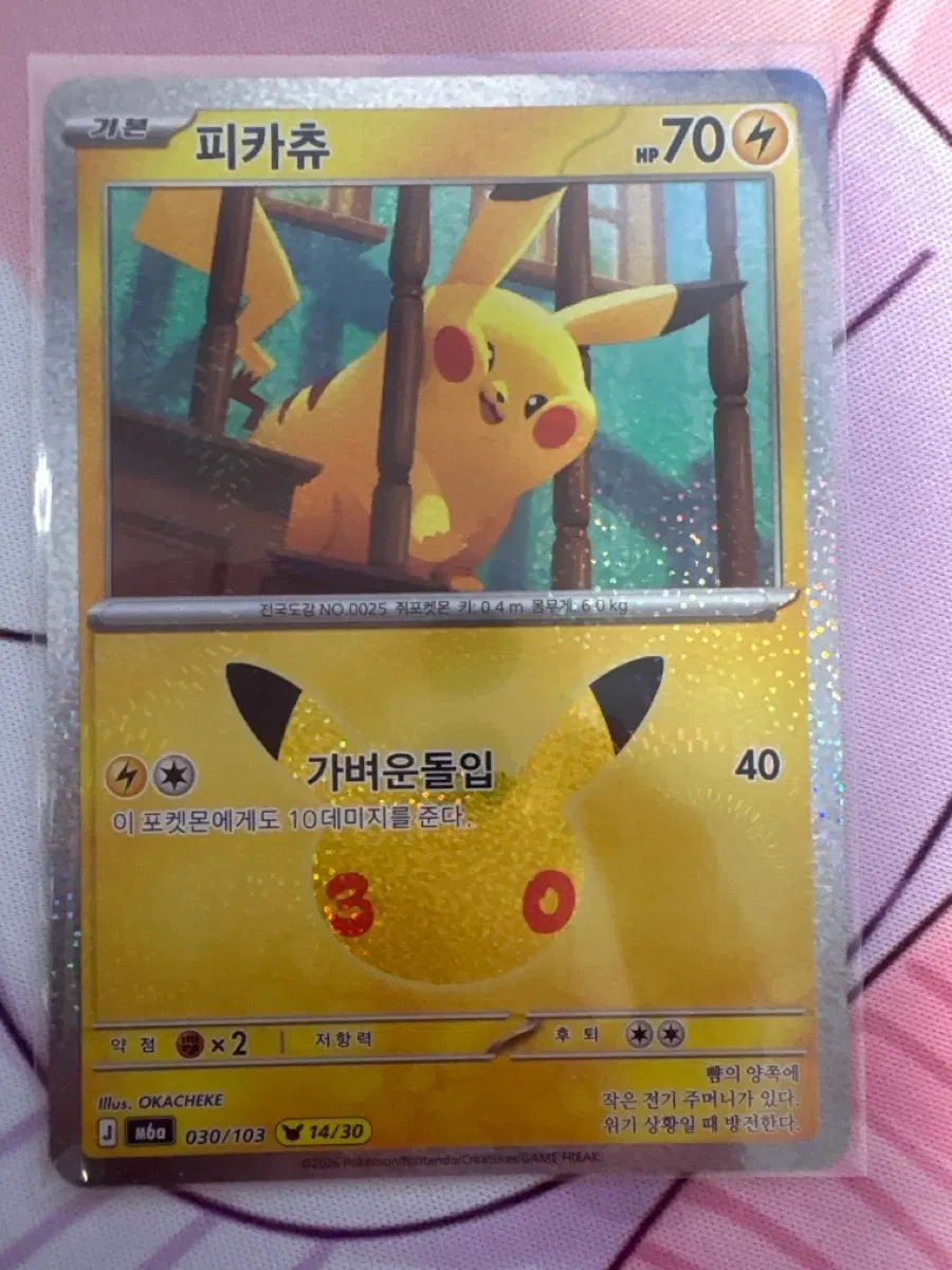 30주년 포켓몬카드 피카츄 14번 피카츄