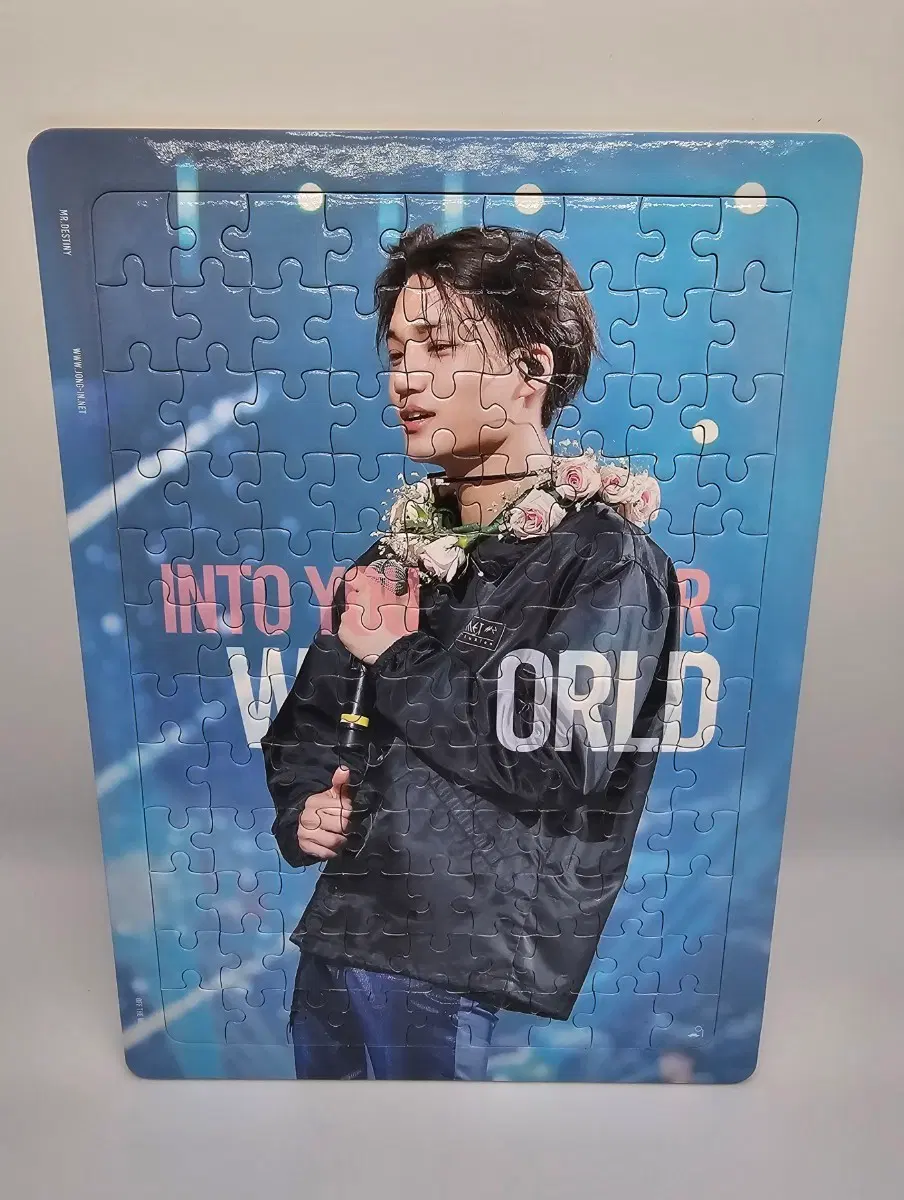 엑소 카이 퍼즐 108피스